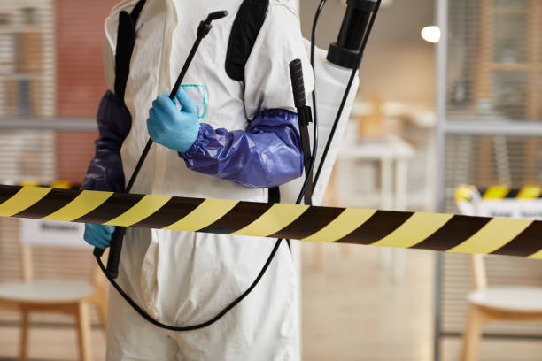 Professional Sewage Cleanup technician working in Sanford, FL